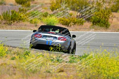 media/May-11-2024-Speed Ventures (Sat) [[6540dbf9cc]]/Yellow Group/Session 2-Bowl Entrance/